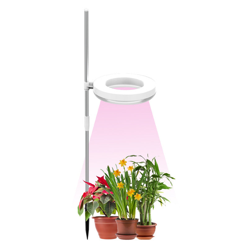 Home Office Desk Flower And Plant Growth Lamp - Home Decor