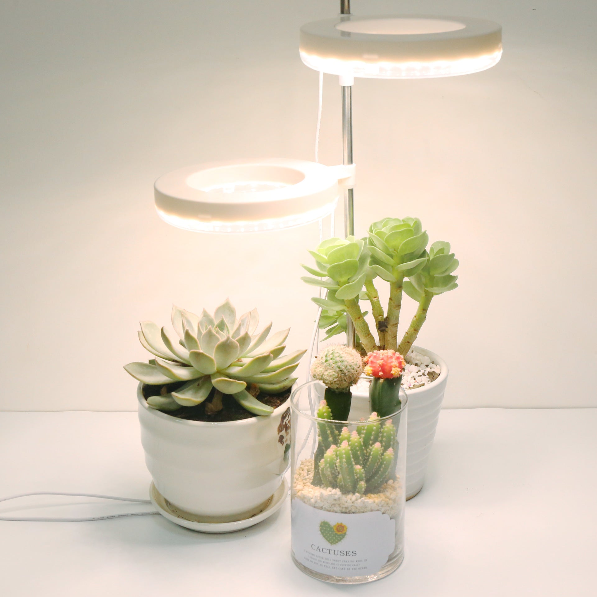 Home Office Desk Flower And Plant Growth Lamp - Home Decor