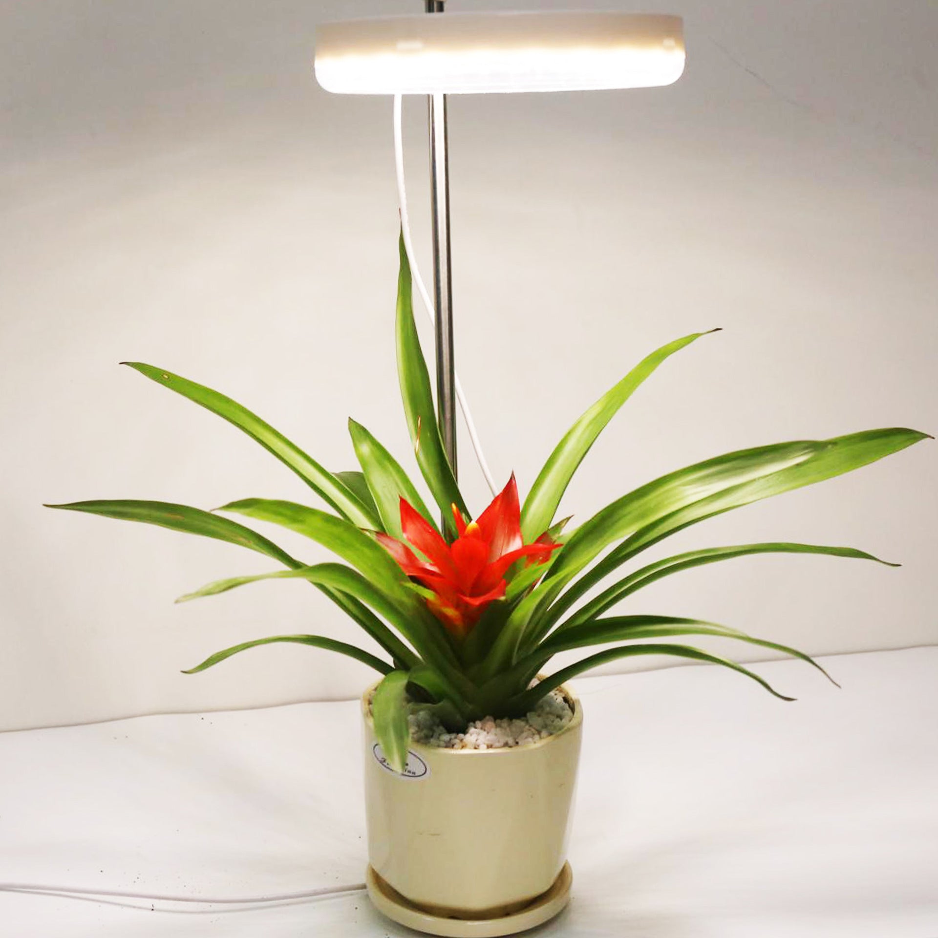 Home Office Desk Flower And Plant Growth Lamp - Home Decor