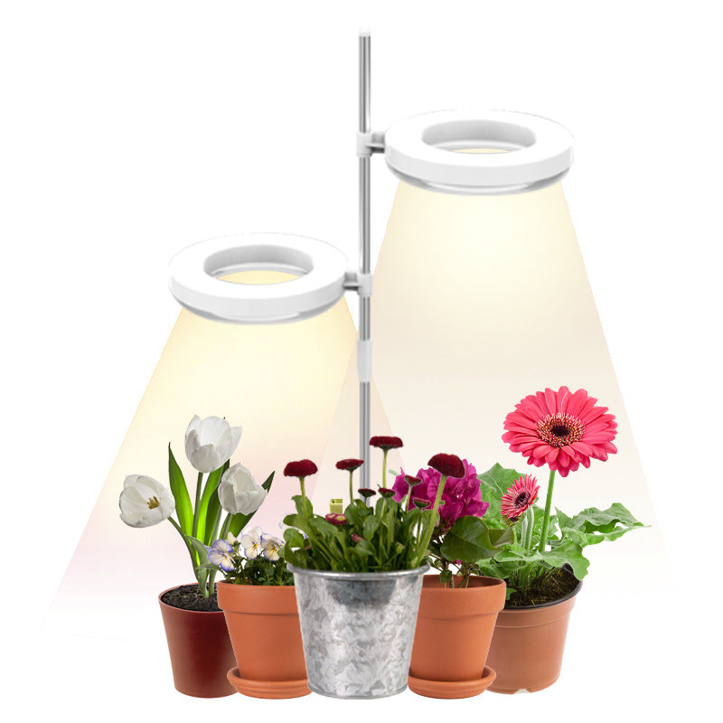 Home Office Desk Flower And Plant Growth Lamp - Home Decor